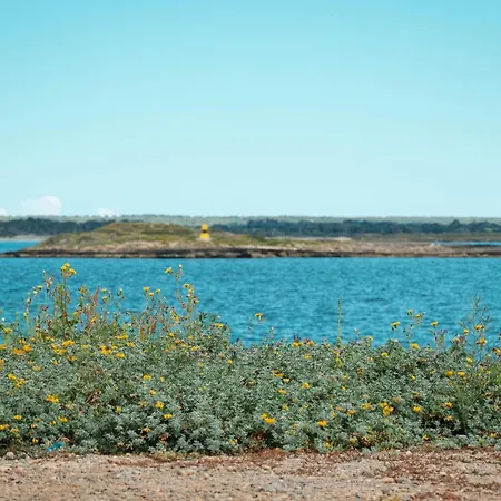 Galiota Dos Colonia de Sant Jordi